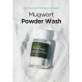 Isntree Spot Saver Mugwort Powder Wash Ензимна пудра з полином 15 g